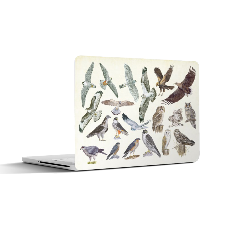 Laptopsticker "Roofvogels en uilen"