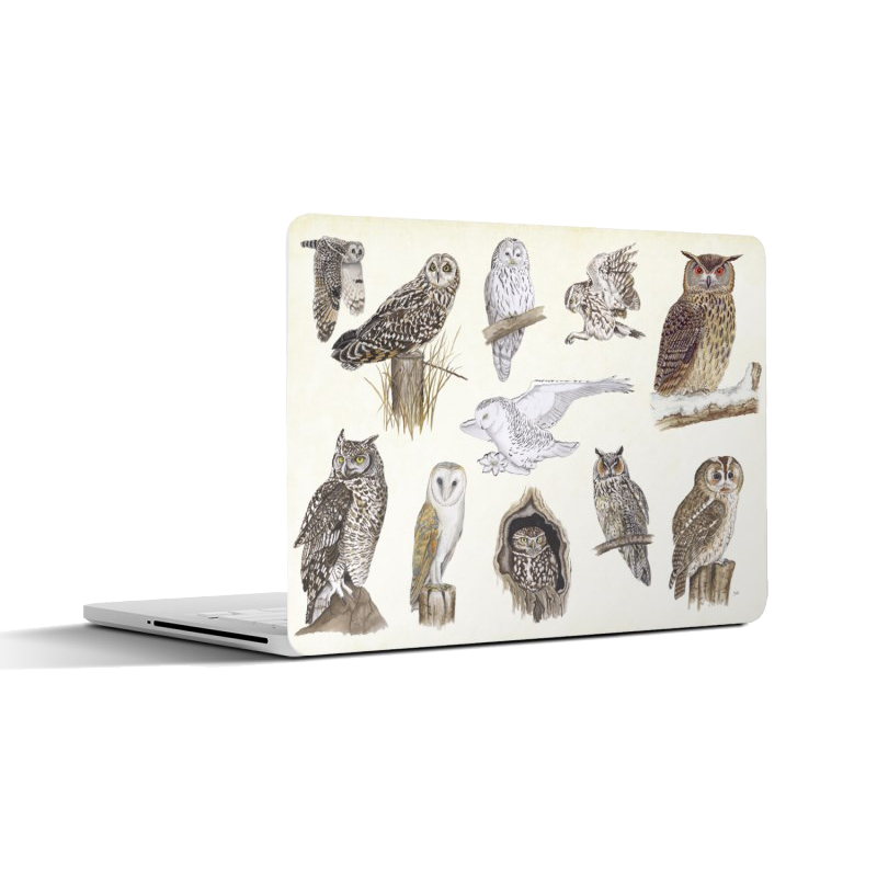Laptopsticker "Uilen"