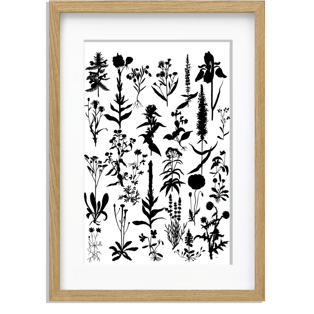 Ingelijst "Planten 2 in zwartwit"
