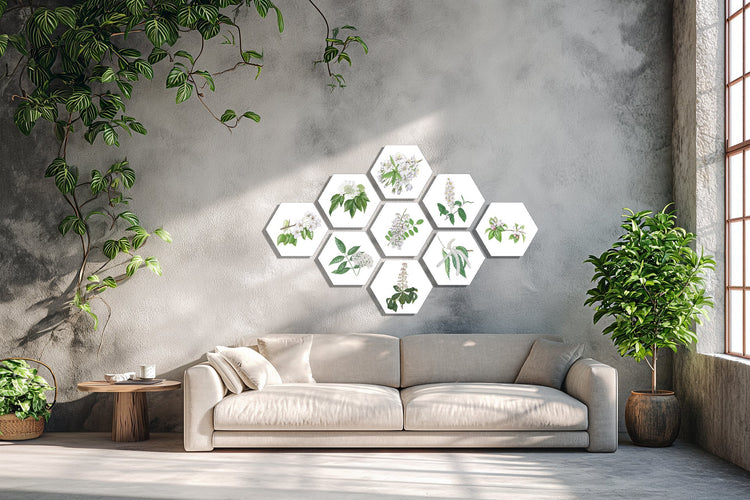 Samengestelde natuurkunst aan de wand