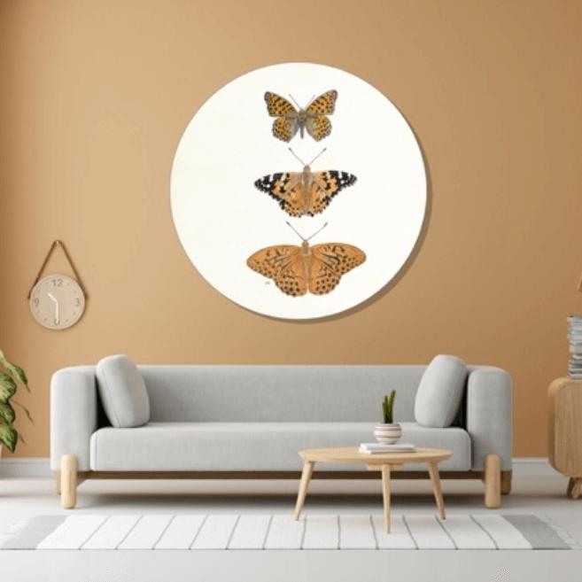 Vlinders