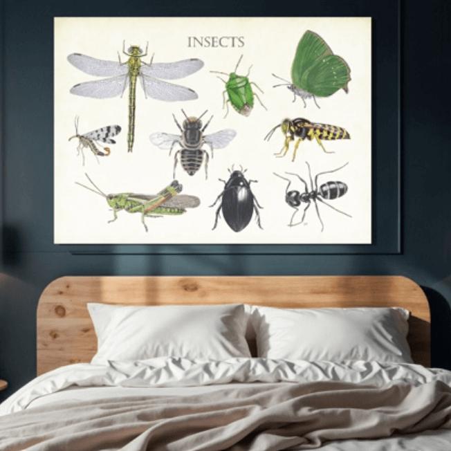 Insecten