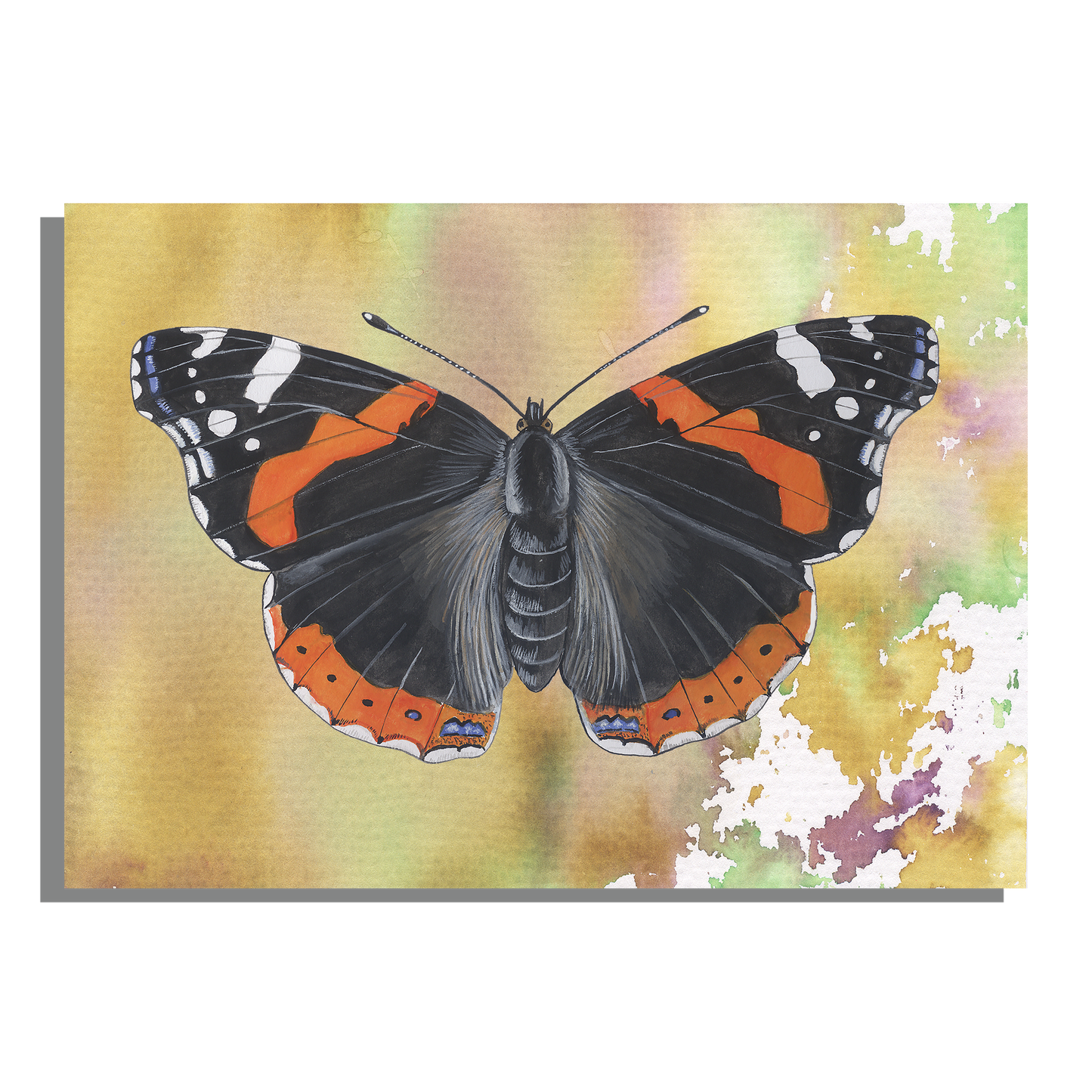 Tuinposter "Atalanta"