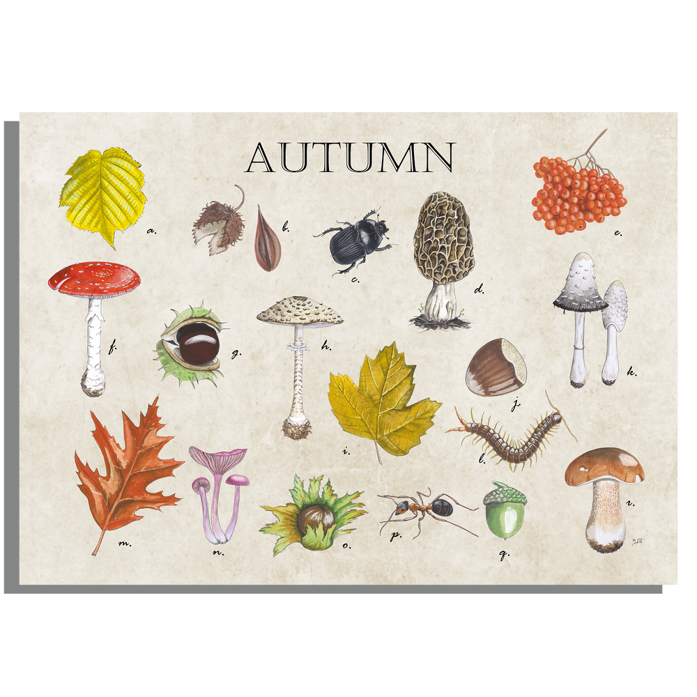 Tuinposter "Autumn"