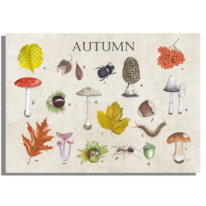 Schoolplaat "Autumn"