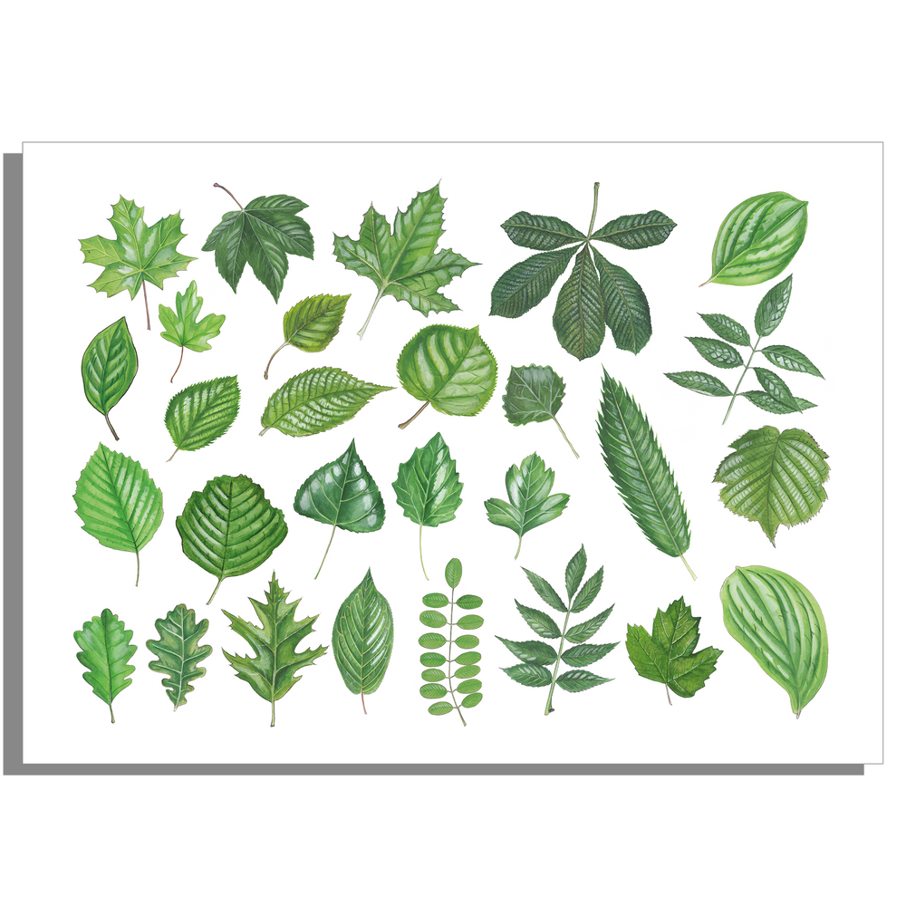 Wanddecoratie "Collectie van bladeren"
