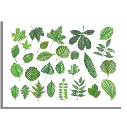 Wanddecoratie "Collectie van bladeren"