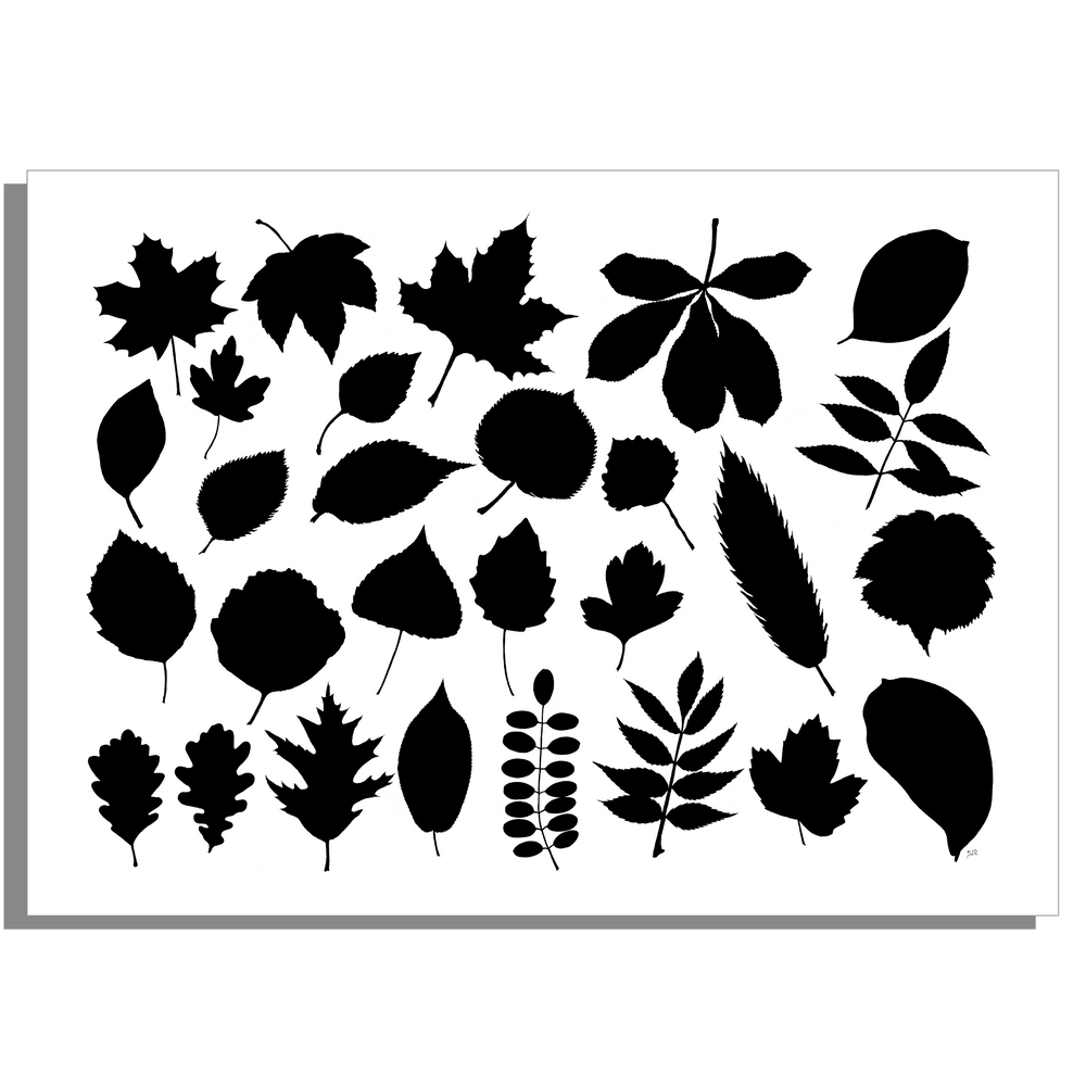 Wanddecoratie "Collectie van bladeren 2 in zwartwit"