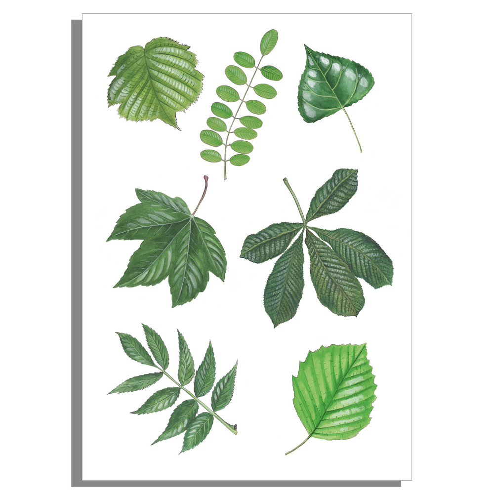 Wanddecoratie "7 Bladeren"