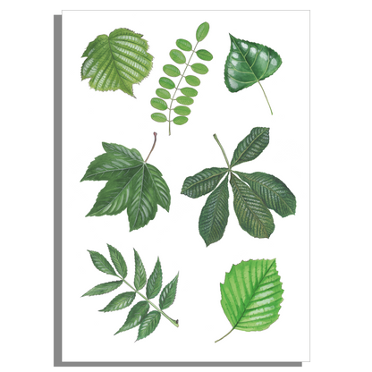 Wanddecoratie "7 Bladeren"