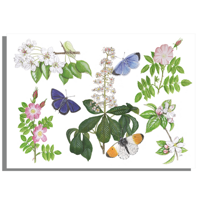Inductieplaatbeschermer "Bloesems en haar vlinders"