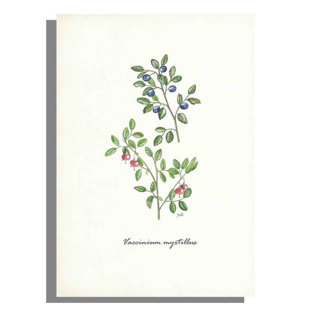 Wanddecoratie "Bosbes"