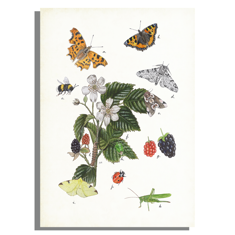 Wanddecoratie "Braam met haar insecten"