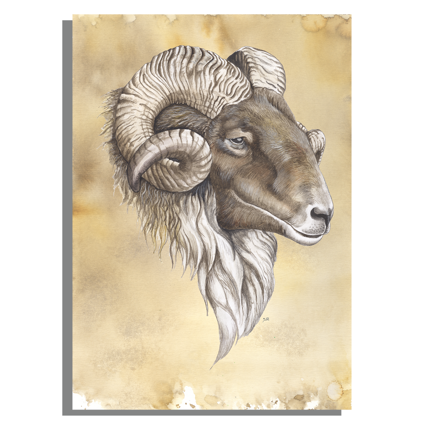 Wanddecoratie "Drents heideschaap"