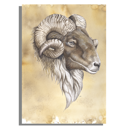 Wanddecoratie "Drents heideschaap"
