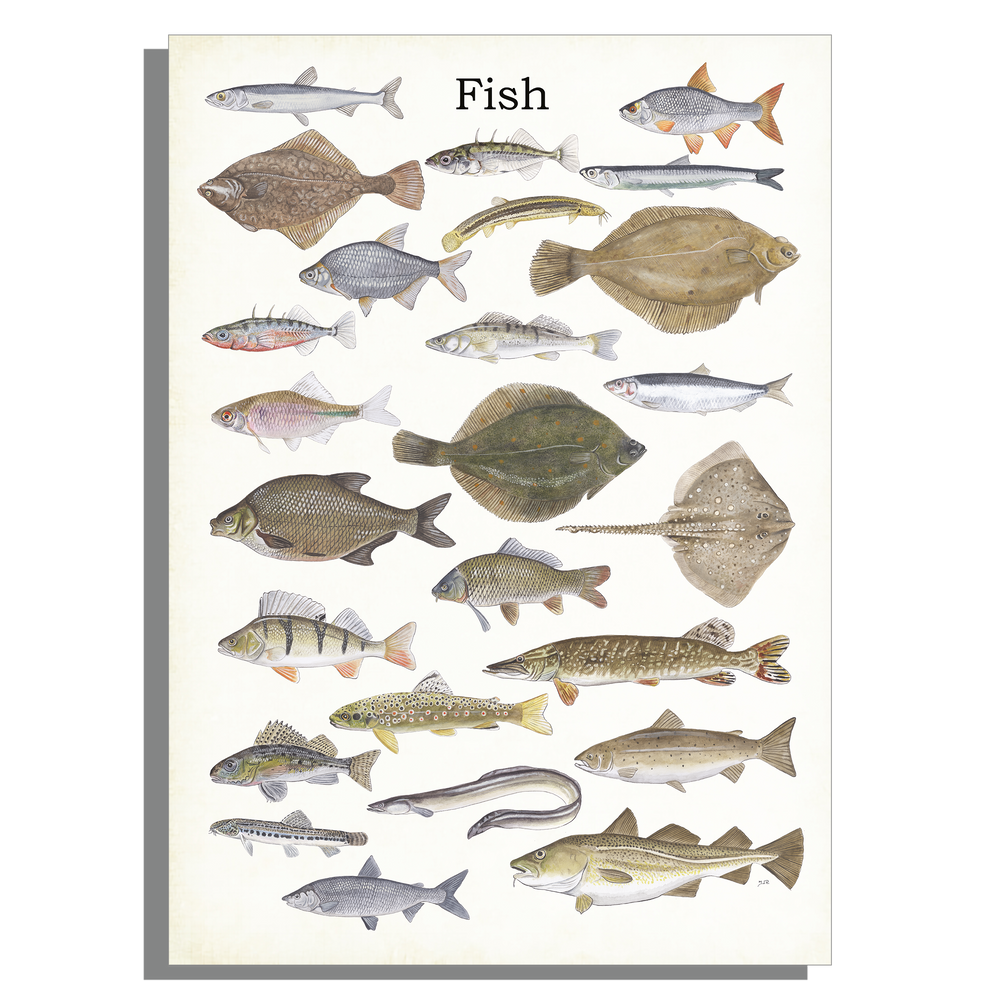 Wanddecoratie "Fish"