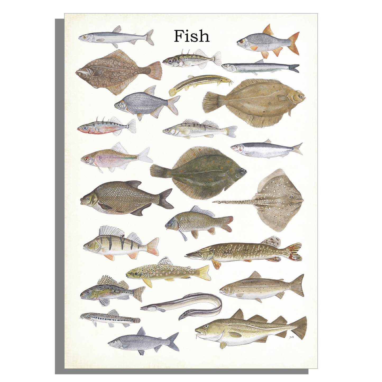 Schoolplaat "Fish"