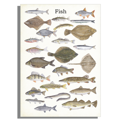 Schoolplaat "Fish"