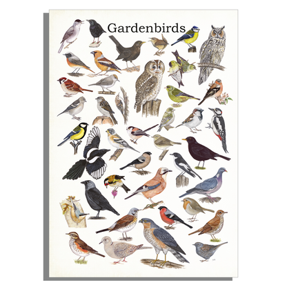 Schoolplaat "Gardenbirds"