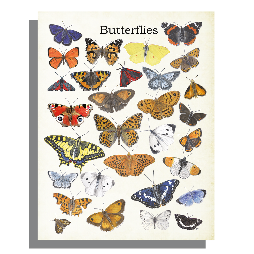 Wanddecoratie "Butterflies"