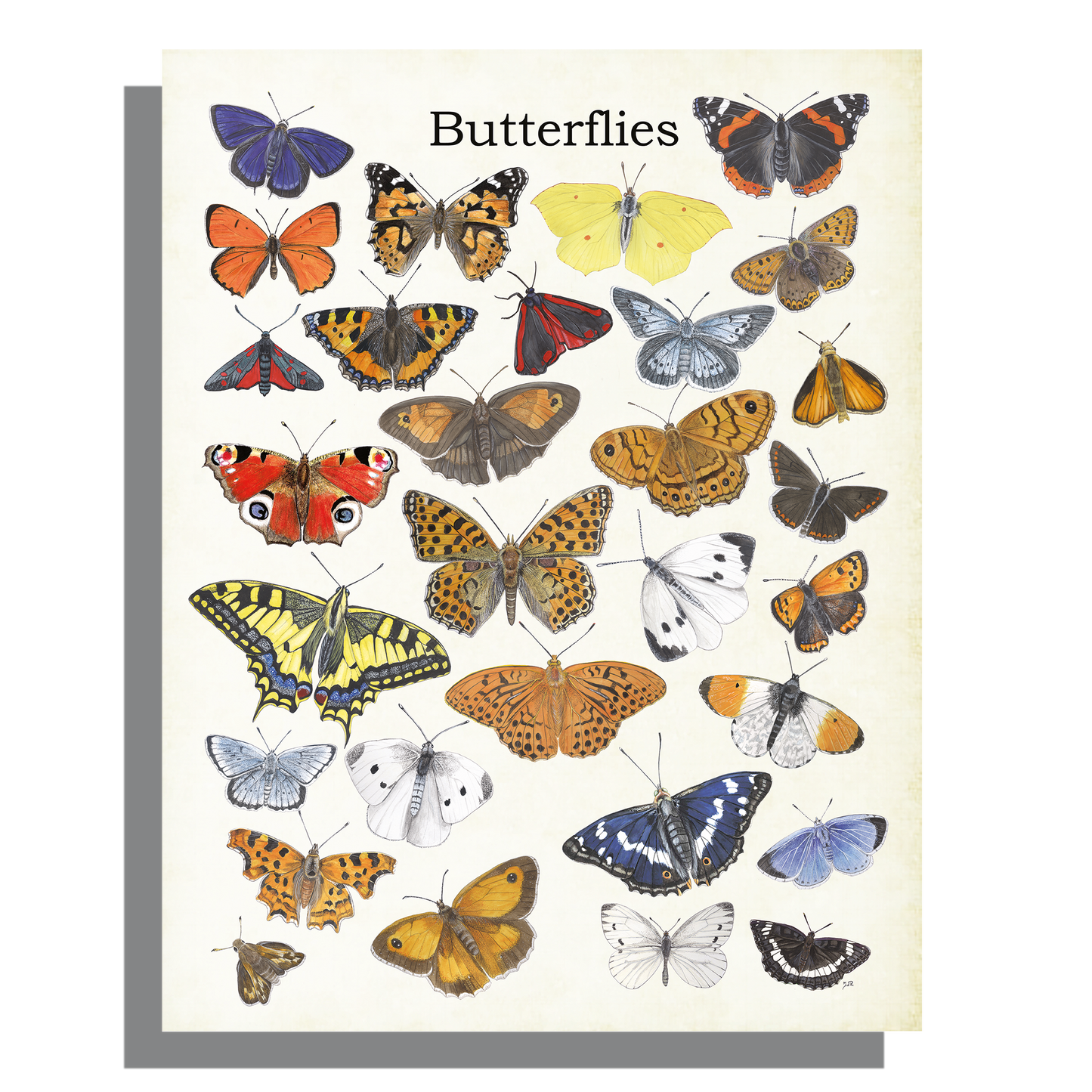 Wanddecoratie "Butterflies"