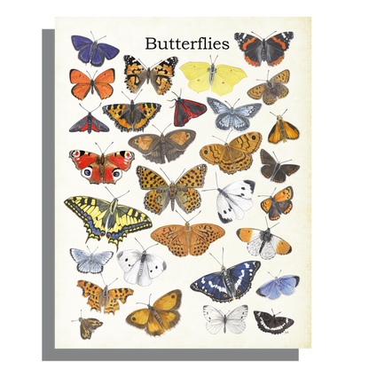 Wanddecoratie "Butterflies"
