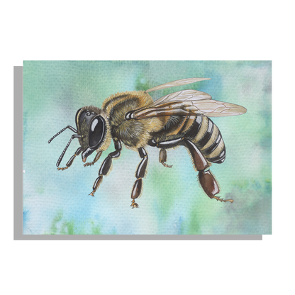 Tuinposter "Honingbij staand"