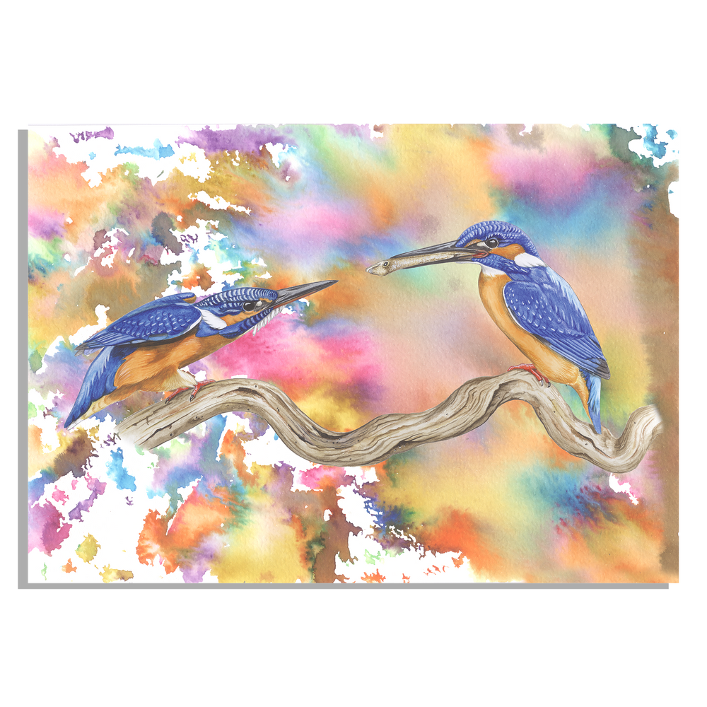 Tuinposter "IJsvogels | Een explosie van kleur"