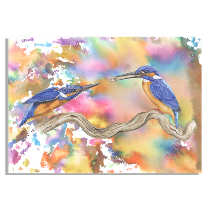 Muismat "IJsvogels op een gekleurde achtergrond"