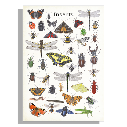 Wanddecoratie "Insects"