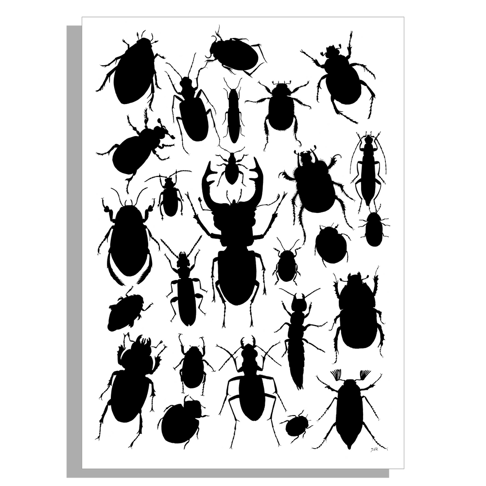 Wanddecoratie "Kevers in zwartwit"