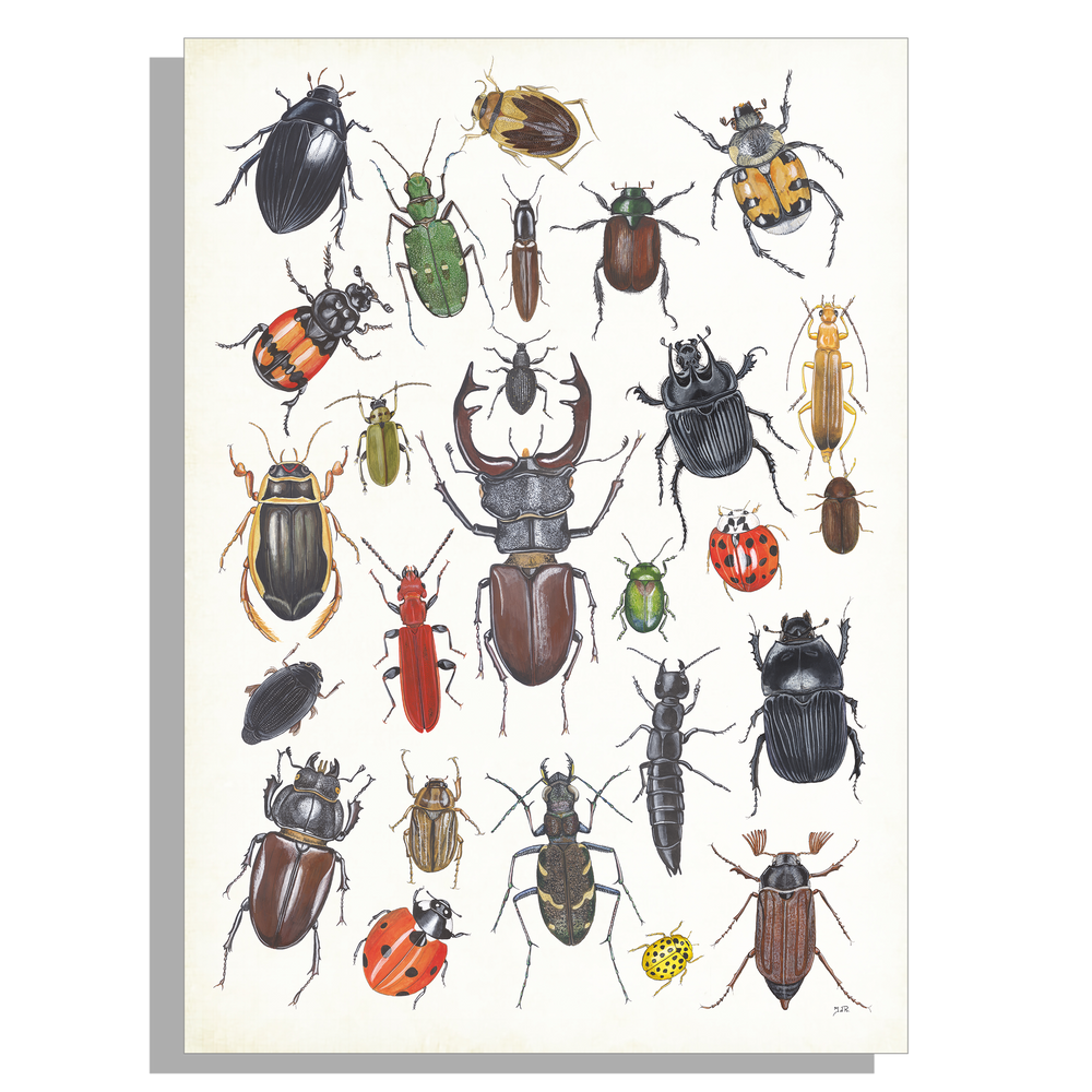 Wanddecoratie "Kevers 2"