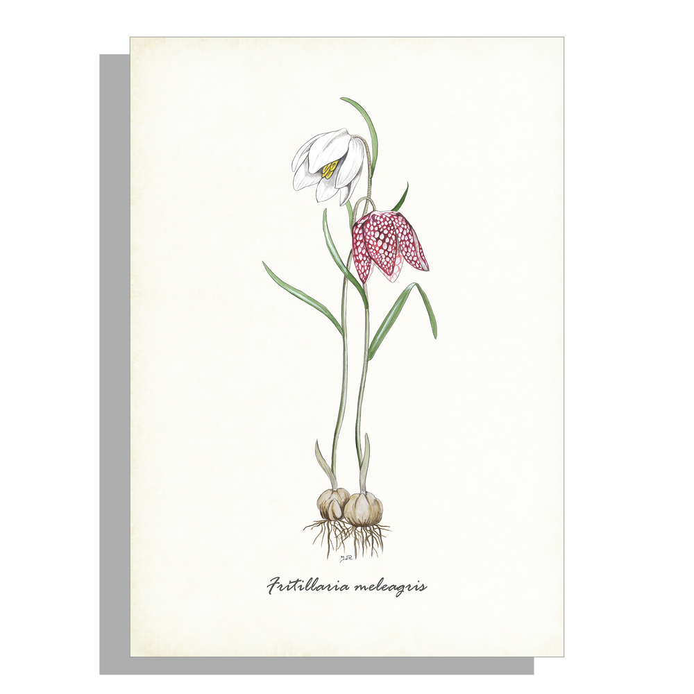 Wanddecoratie "Kievitsbloemen"