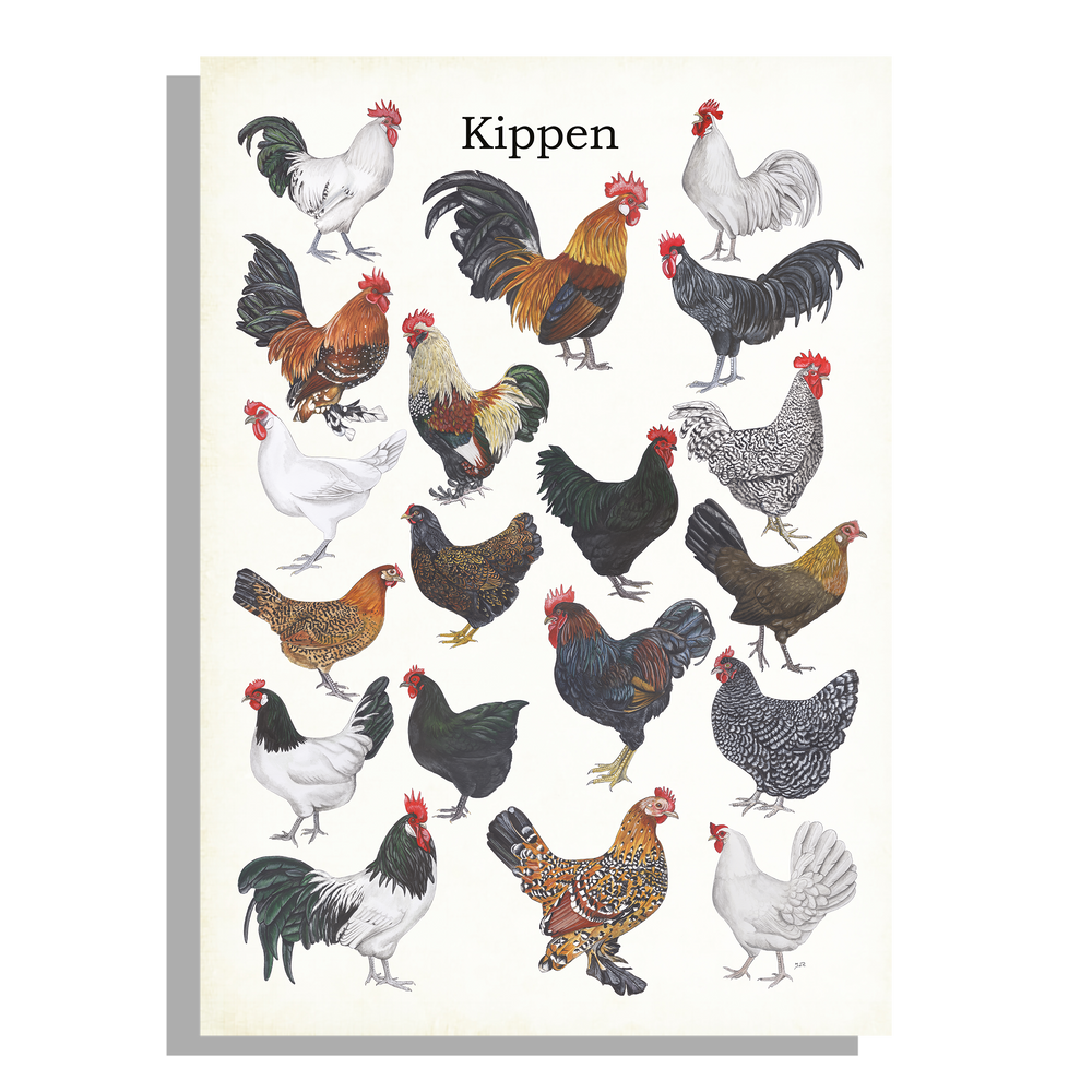 Wanddecoratie "Kippen"