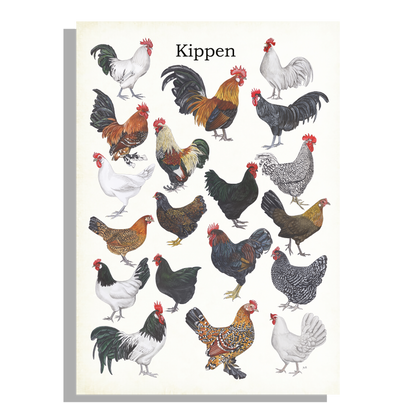 Schoolplaat "Kippen"