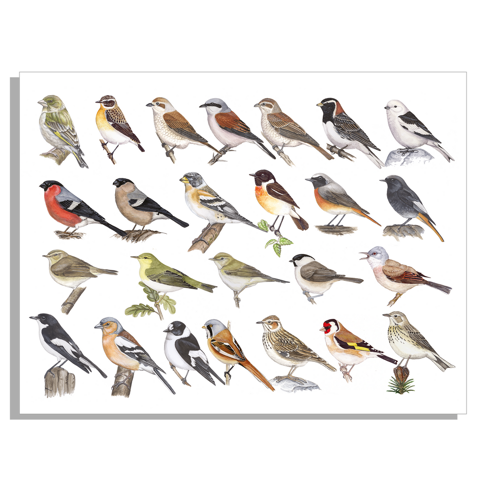 Wanddecoratie "Kleine zangvogels"