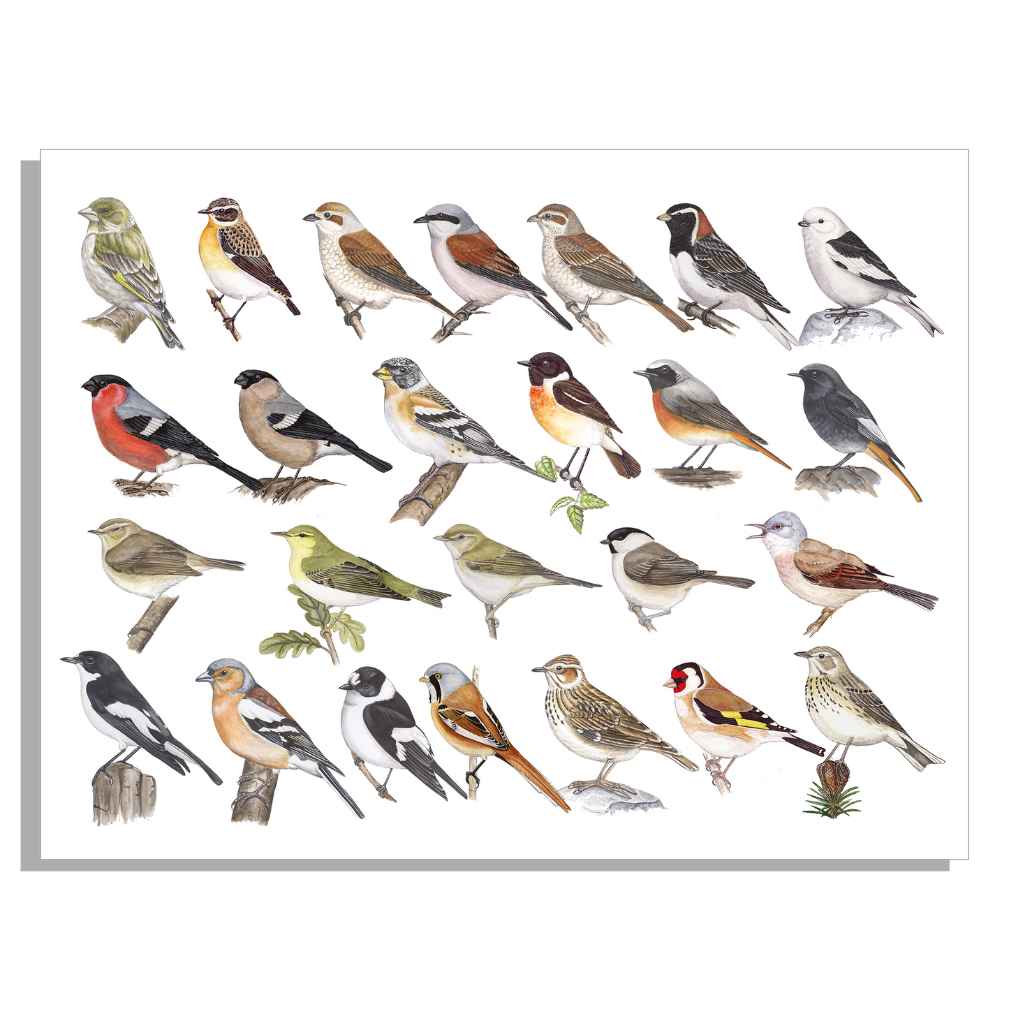 Wanddecoratie "Kleine zangvogels"
