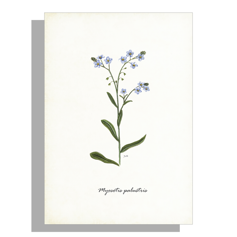 Wanddecoratie "Moerasvergeet-mij-nietje"