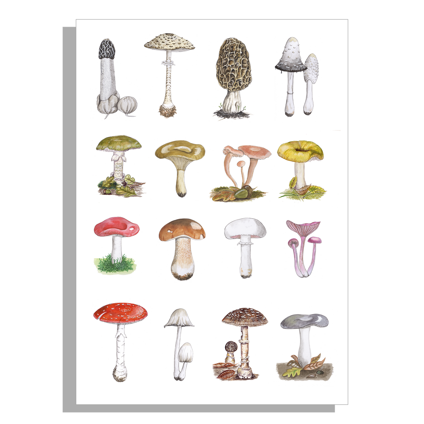 Wanddecoratie "Paddenstoelen"