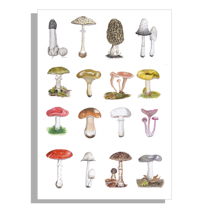 Wanddecoratie "Paddenstoelen"