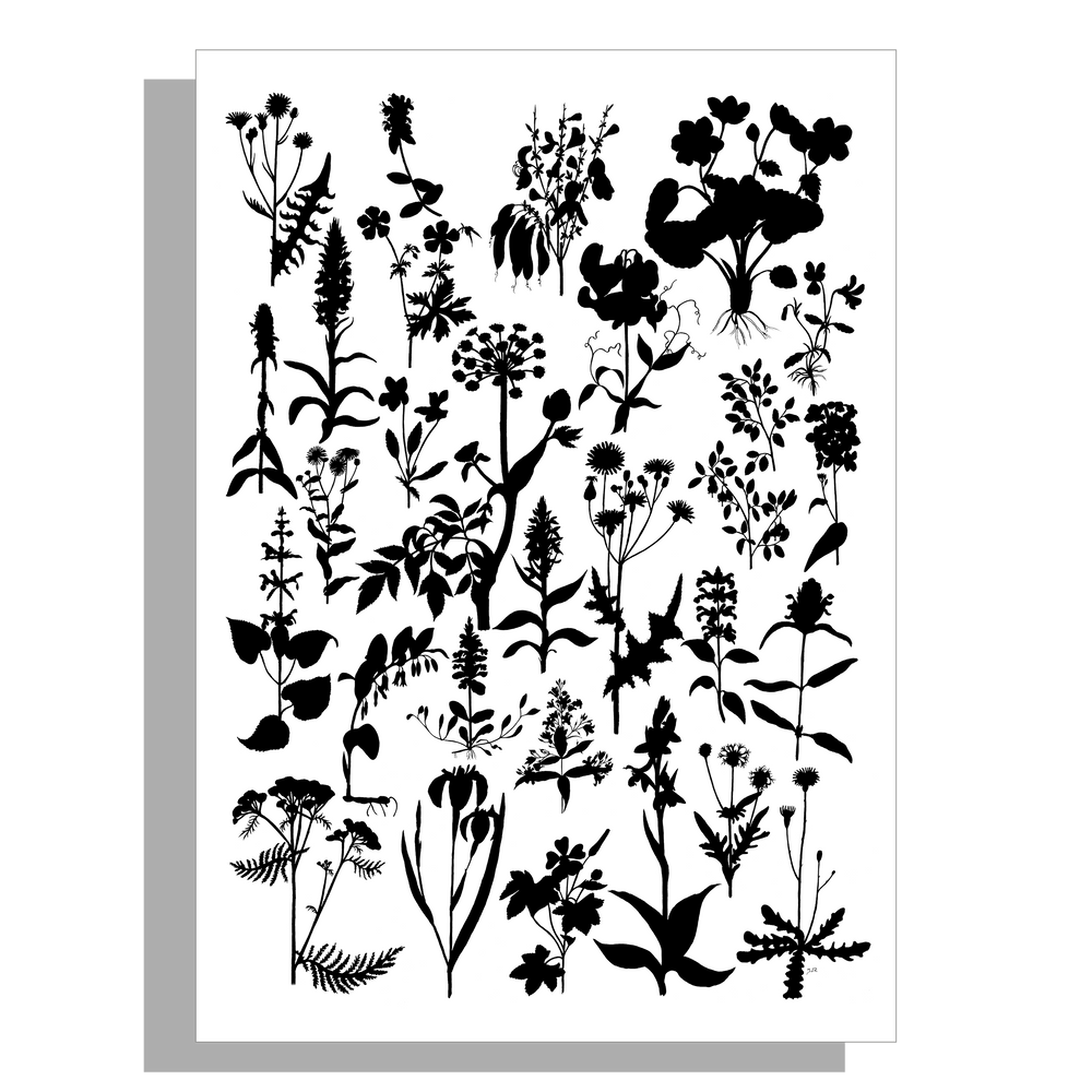 Wanddecoratie "Planten in zwartwit"