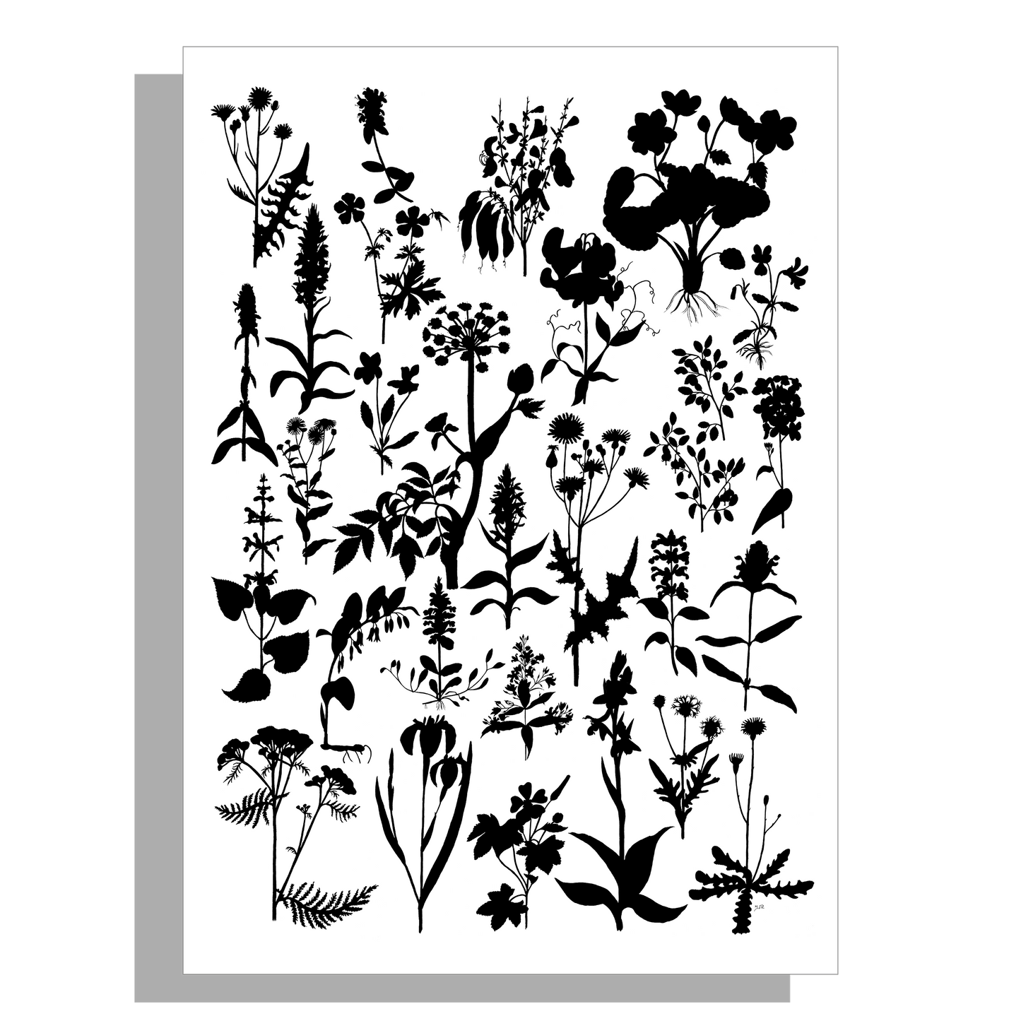 Wanddecoratie "Planten in zwartwit"