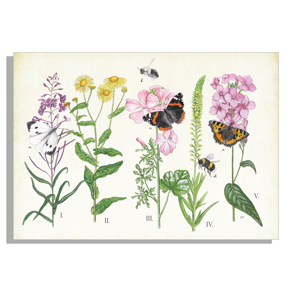 Inductieplaatbeschermer "Planten en haar insecten"
