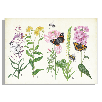 Muismat "Planten en haar insecten"