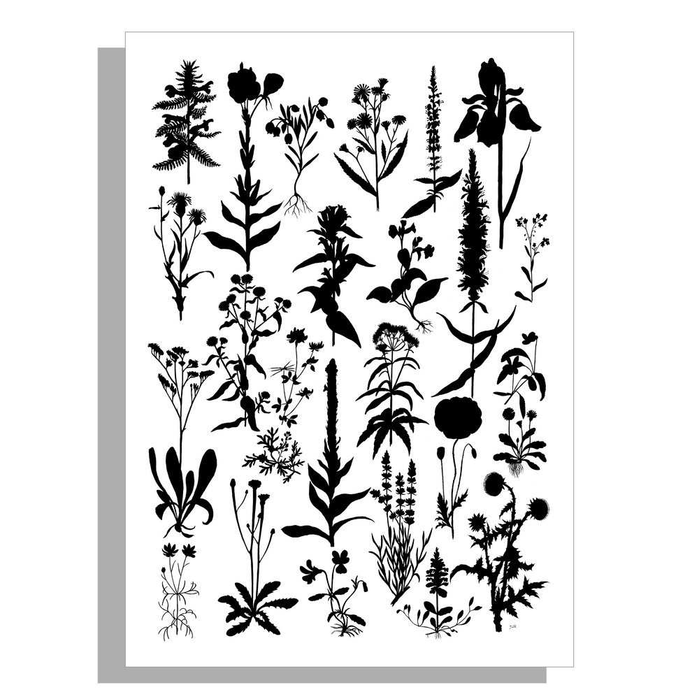Wanddecoratie "Planten 2 in zwartwit"