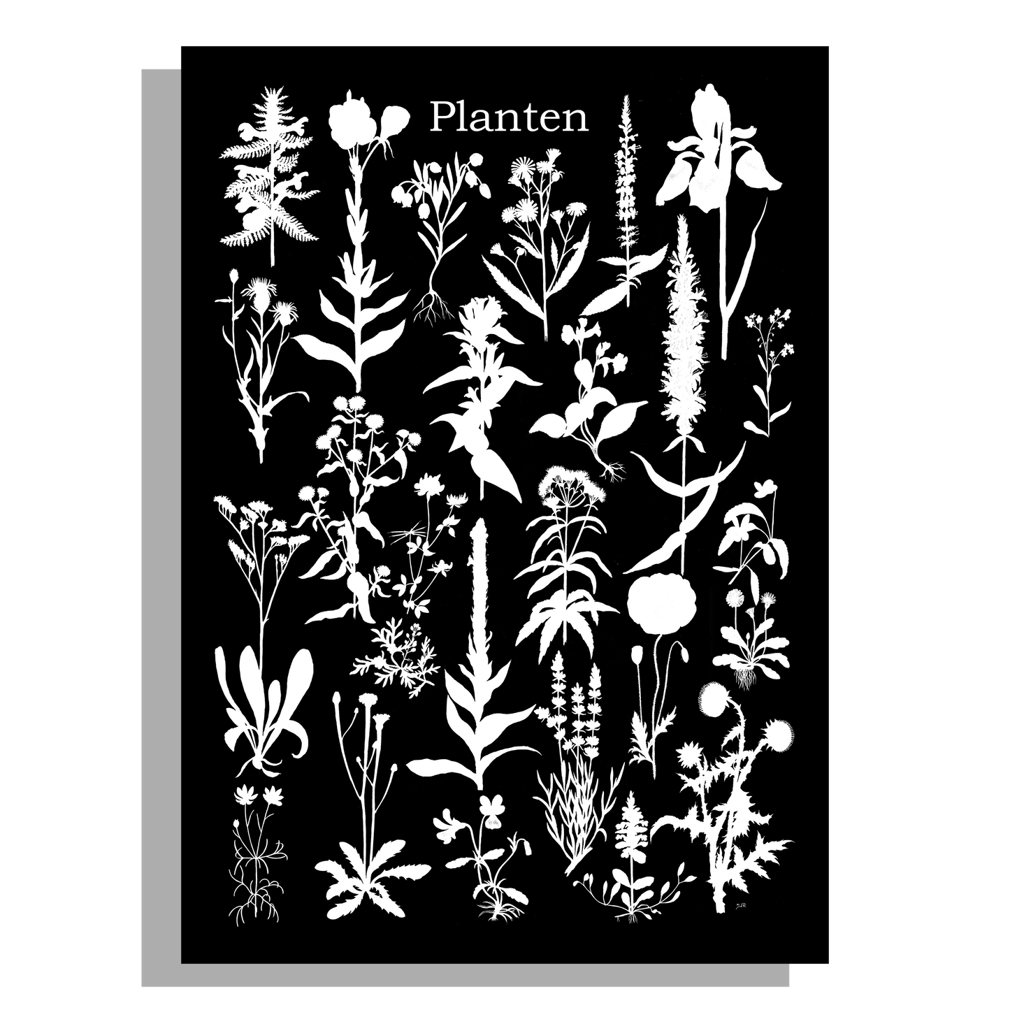 Wanddecoratie "Planten 2 in witzwart"