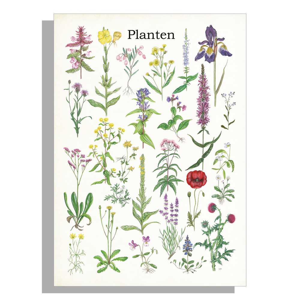 Tuinposter "Planten 2"