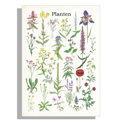 Tuinposter "Planten 2"