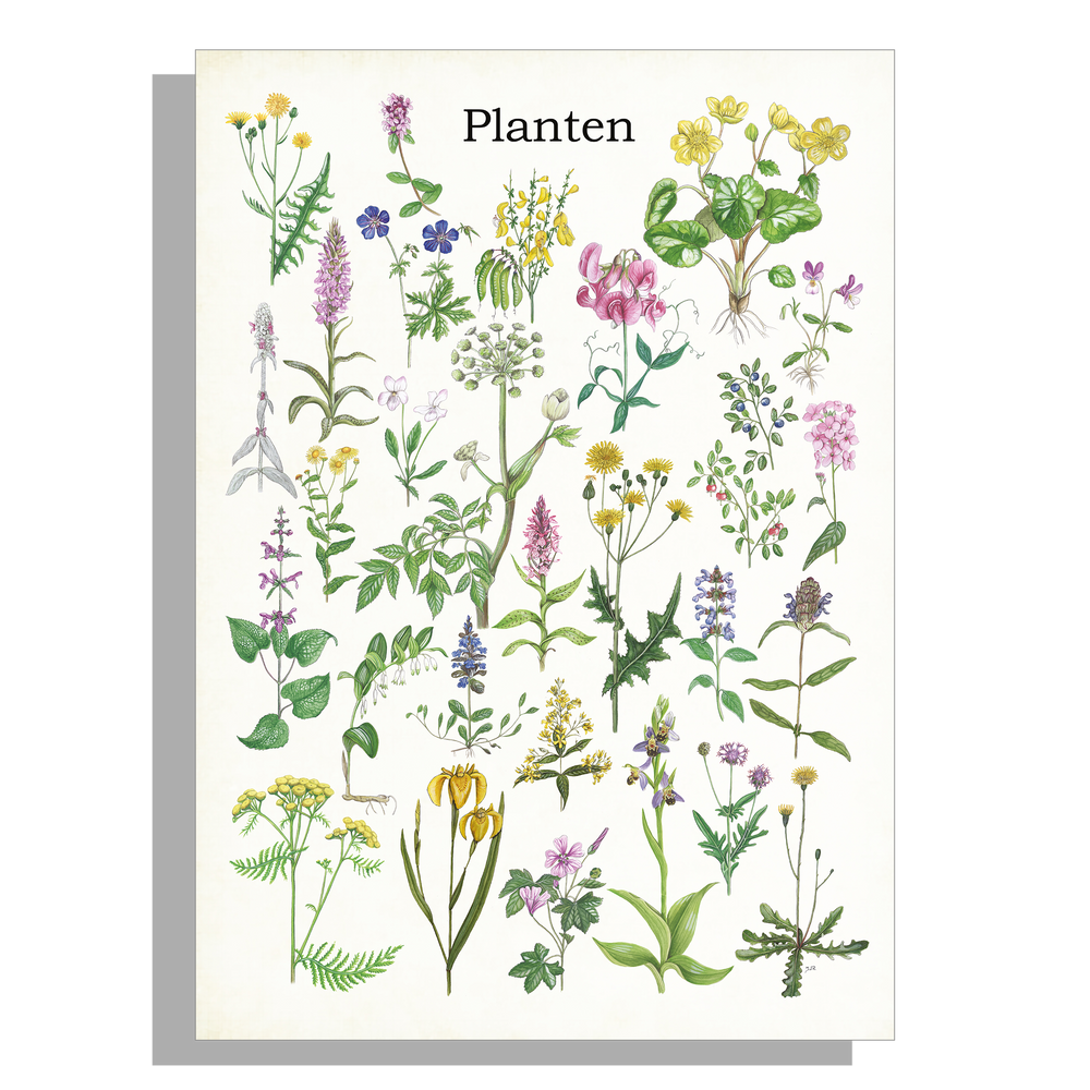 Tuinposter "Planten"