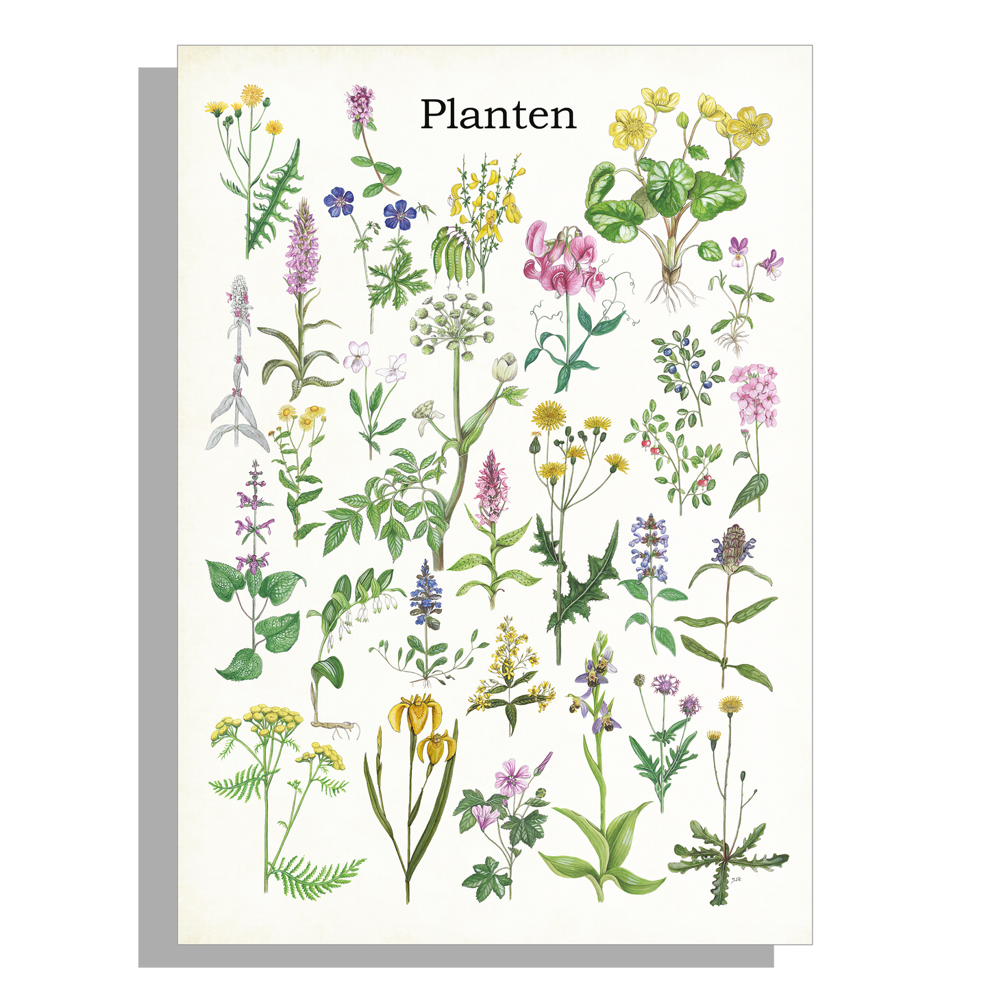 Tuinposter "Planten"